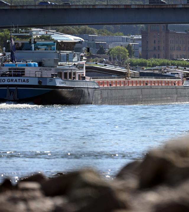 Ein Frachtschiff fährt bei niedrigem Wasserstand auf dem Rhein.