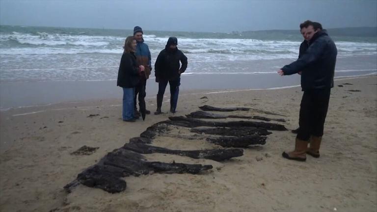 Menschen stehen an einem Strand neben angespühlten Holzbalken, die wohl zu einem historischem Schiffswrack gehören.
