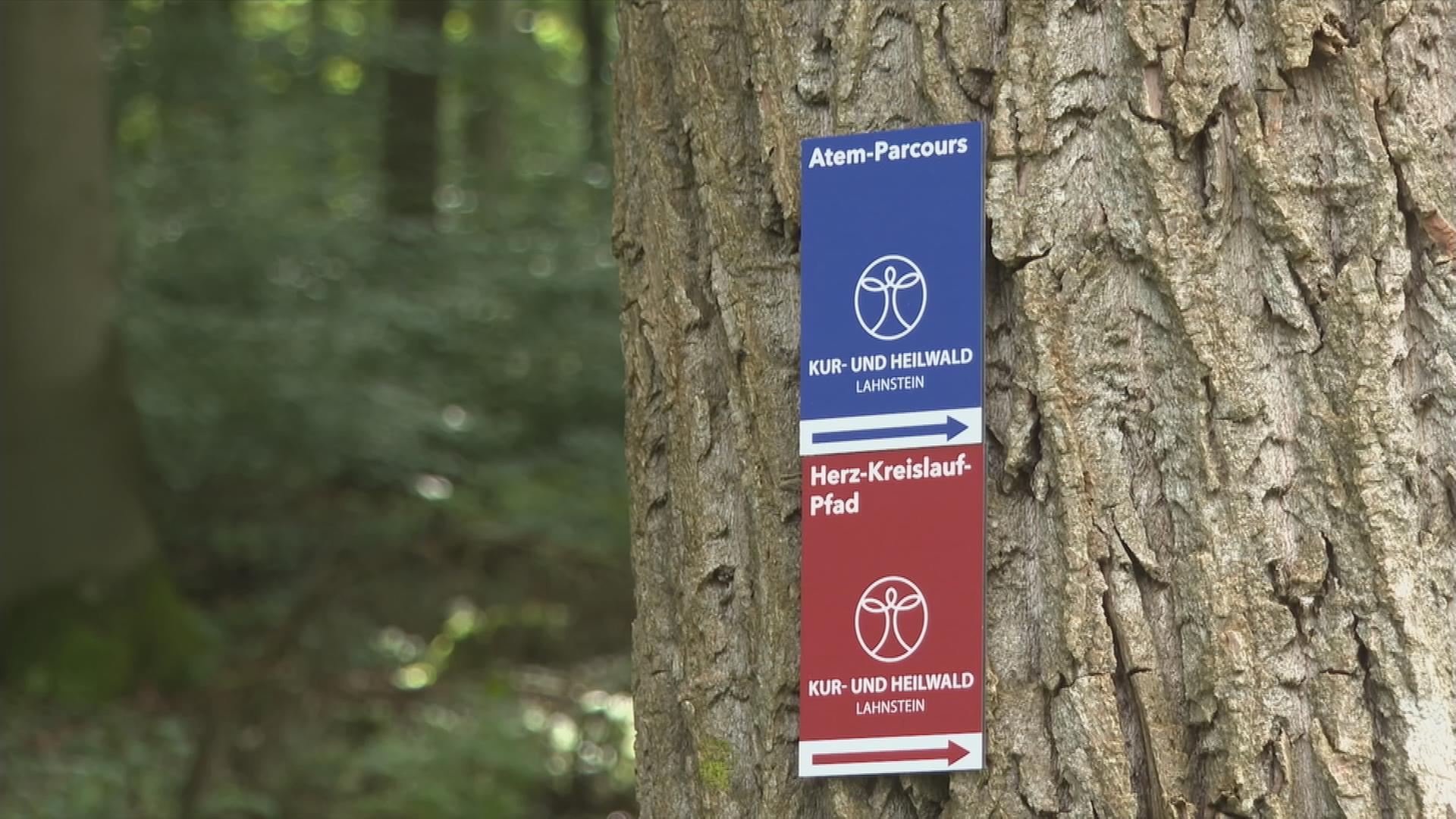 Auf dem Bild sind Schilder aus dem Heilwald zu sehen.