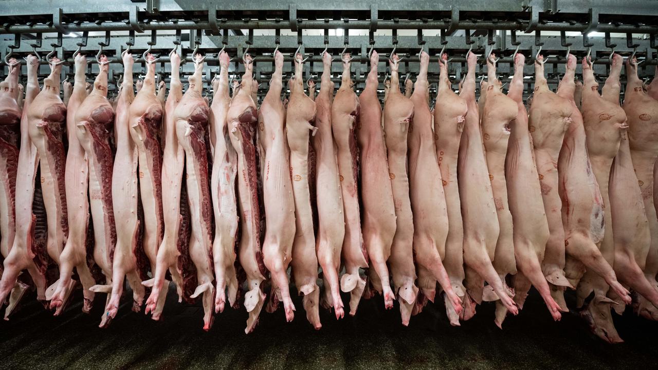 Mandatory video surveillance in slaughterhouses is coming
