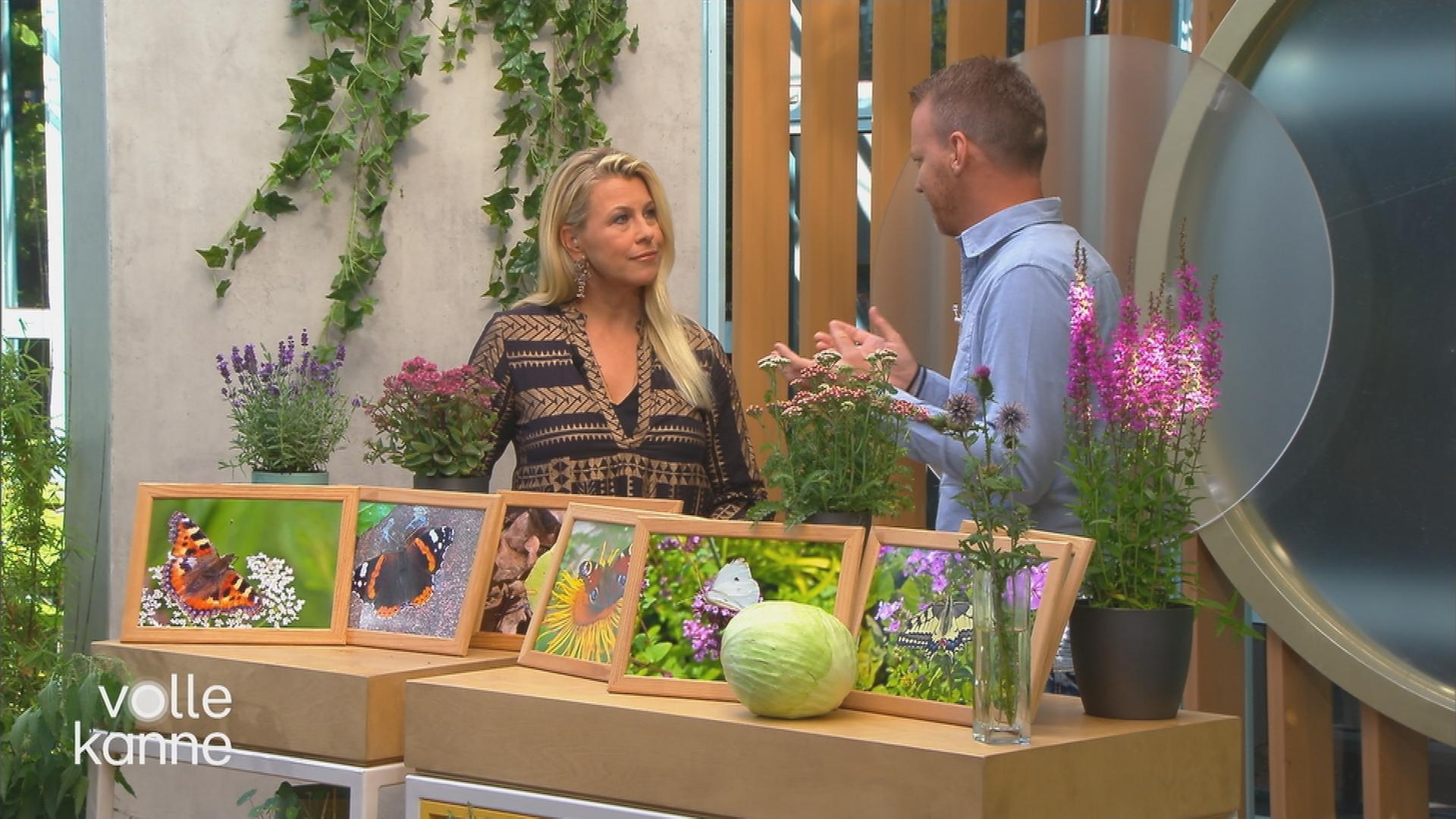 Christian Ehrlich und Nadine Krüger vor einem Pult mit Schmetterlingsbildern