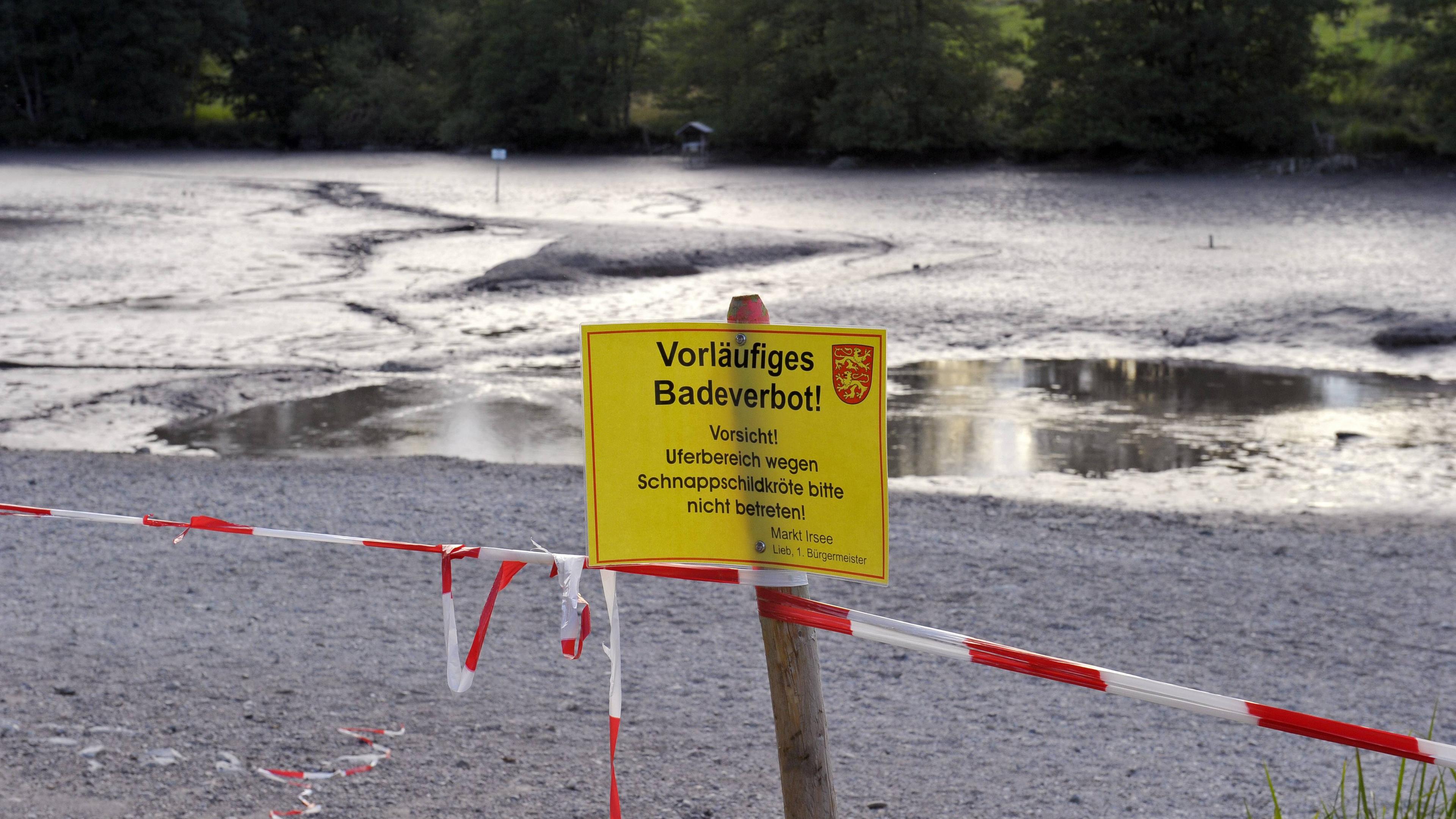 Jagd nach der Schnappschildkröte am am Oggenrieder Weiher im Ostallgäu