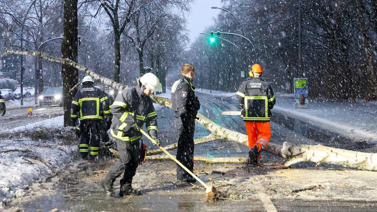 Hamburg: Einsatzkräfte räumen bei Schneefall einen größeren Baum von der für den Verkehr gesperrten Alsterkrugchaussee.