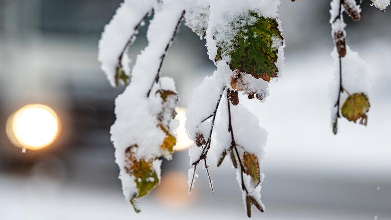 Schnee im Bayrischen Wald.