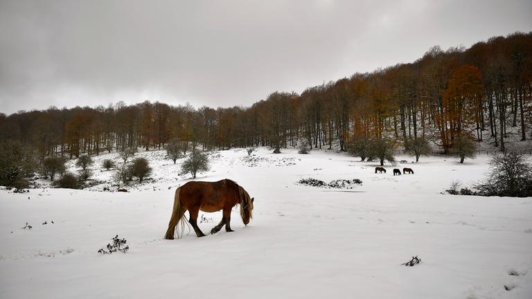 Schneebedeckten Landschaft bei Baraibar, Nordspanien.