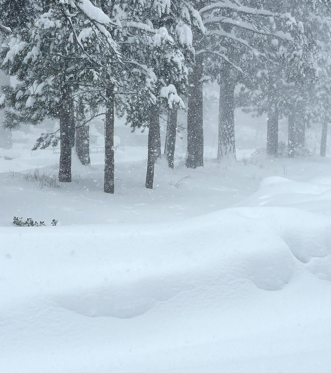 Schneefall in Kalifornien, aufgenommen am 17.02.2026