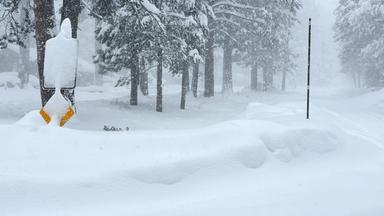 Schneefall in Kalifornien, aufgenommen am 17.02.2026