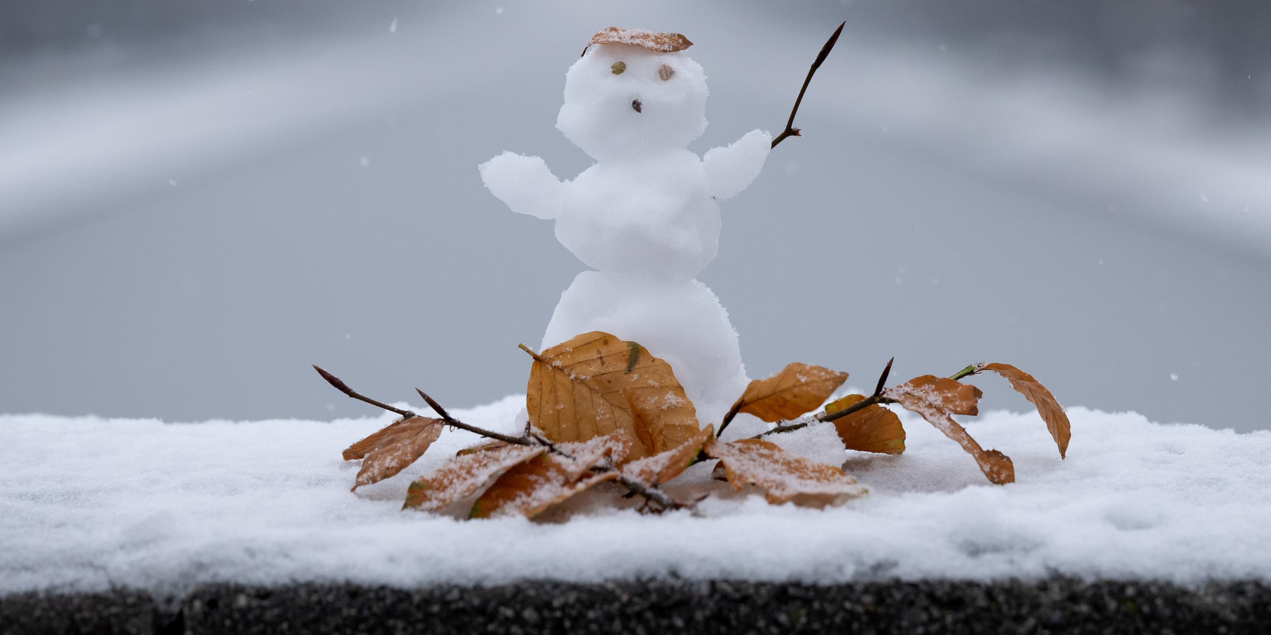 Schneemann