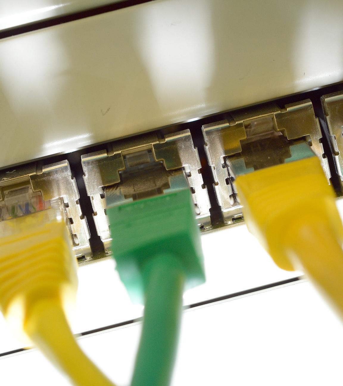 Computerkabel stecken in einem Server eines Bürorechners.