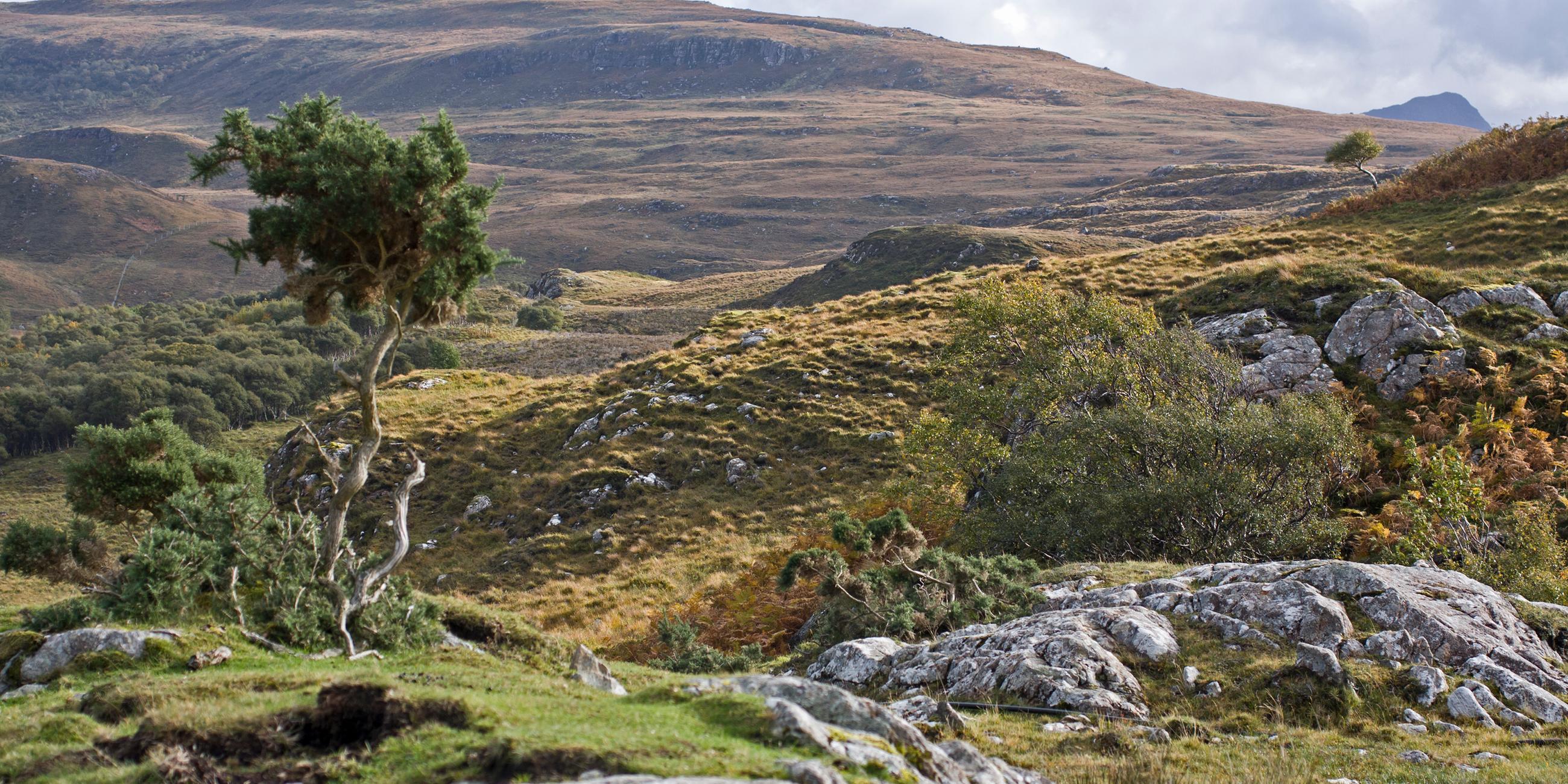Schottische Highlands