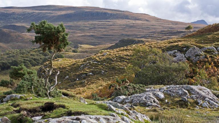 Schottische Highlands