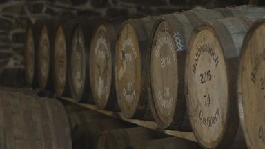 Schottischer Whisky reift in Fässern
