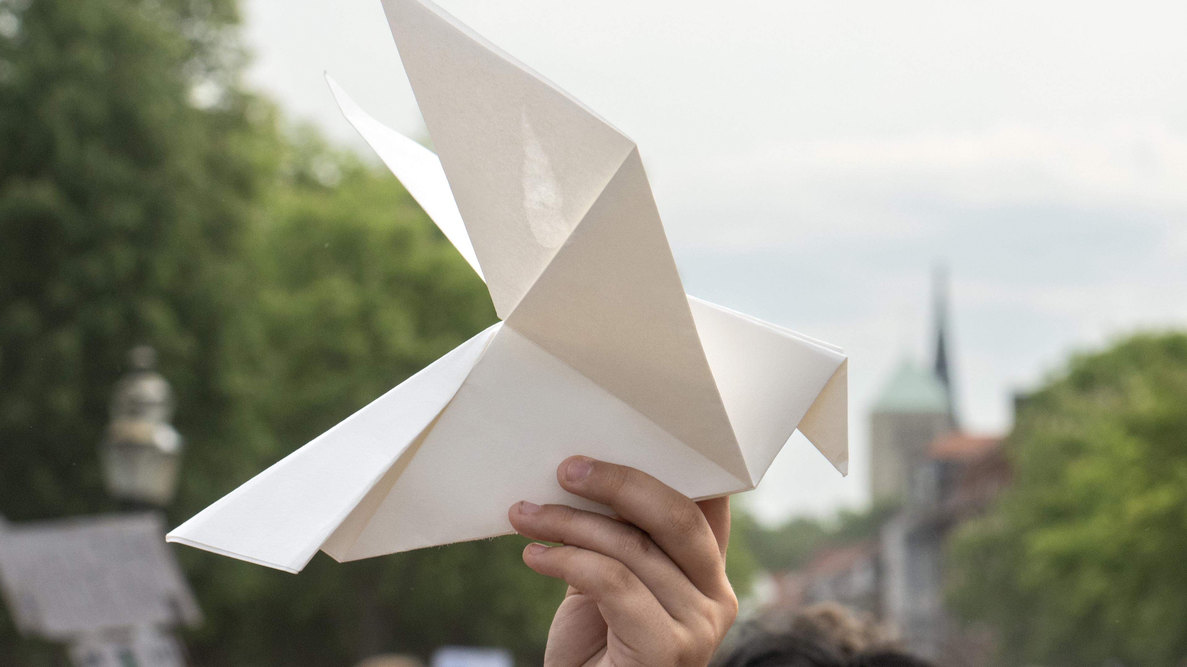 Mit einer Friedenstaube aus Papier nimmt ein Schüler an einer Kundgebung unter dem Motto «Ein Schritt Richtung Frieden» teil.