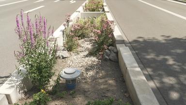 Straße