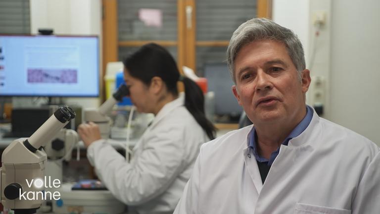 Schweineherz als Spendeorgan 