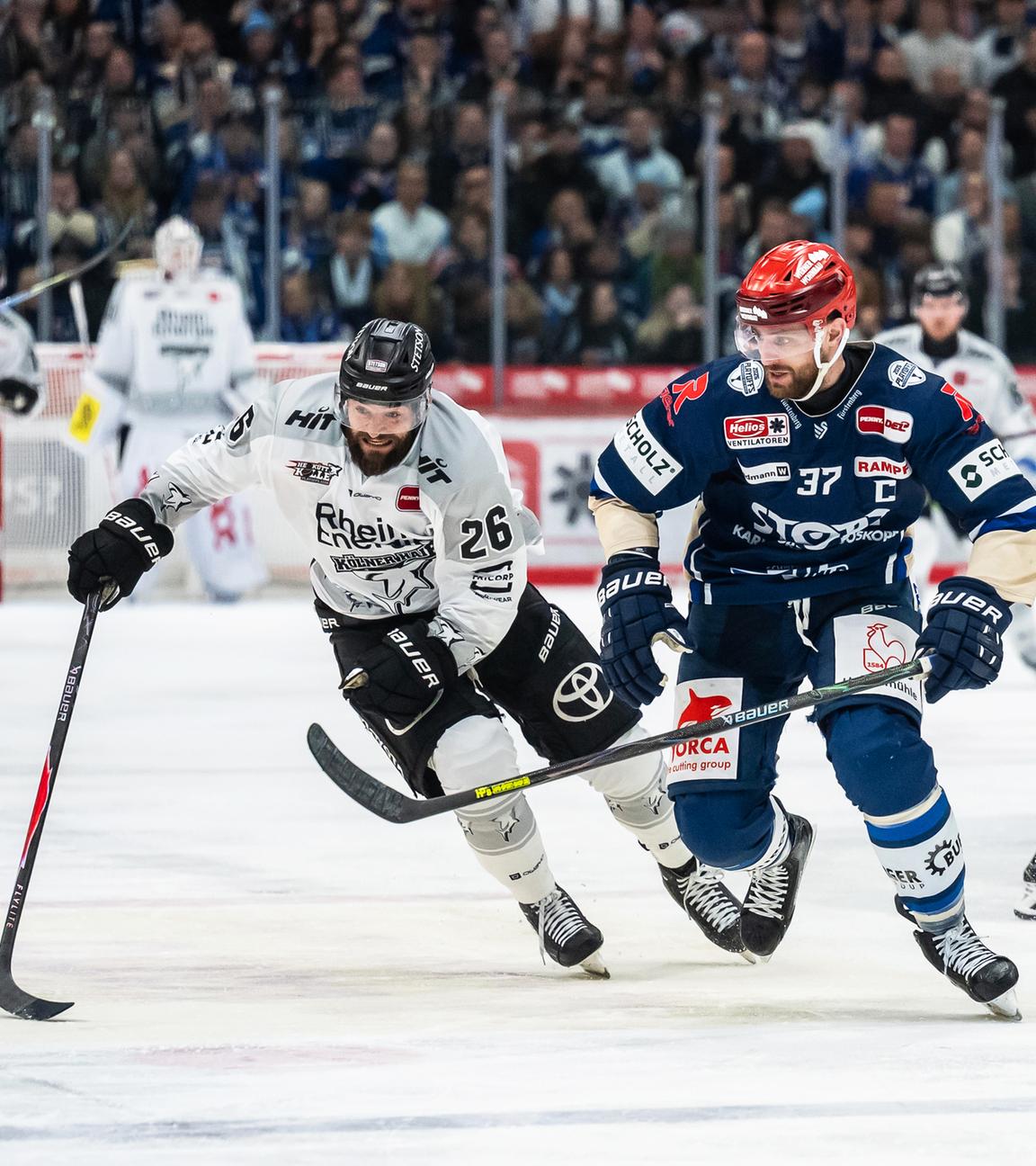 Kölns Dominik Uher (l) und Schwenningens Thomas Larkin kämpfen um den Puck.