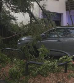 Abgebrochene Äste eines Baumes liegen auf einem Auto