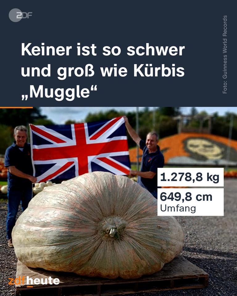 Der riesige Kürbis "Muggle" steht auf eine Palette. Dahinter stehen zwei Männer, die eine britische Flagge halten.