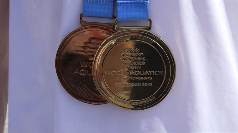 Schwimm-WM Medaillen