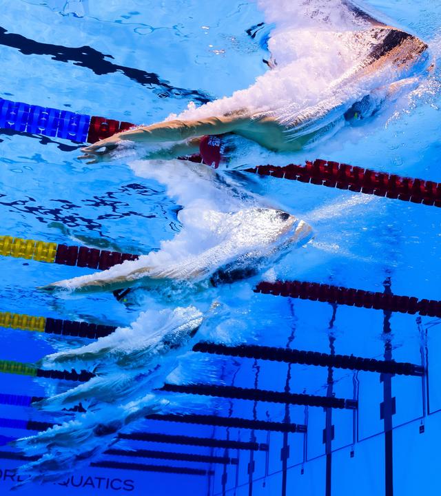Schwimmer springen ins Becken