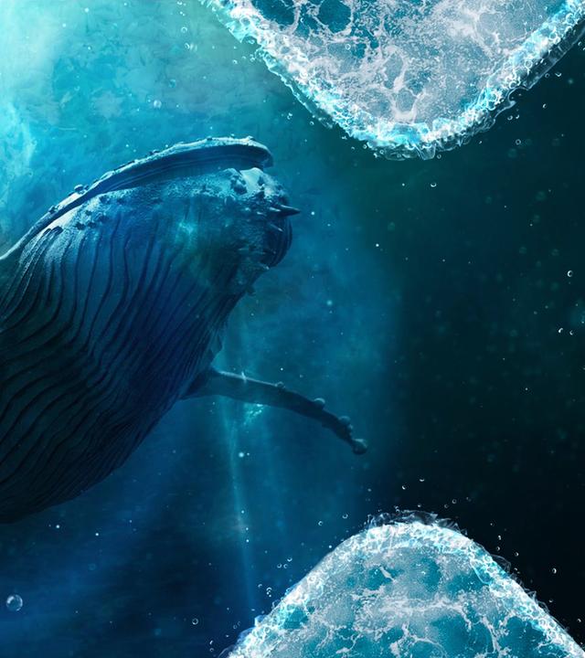 CGI: Unterwasseraufnahme eines schwimmenden Wals. Licht fällt von auf die Wasseroberfläche.