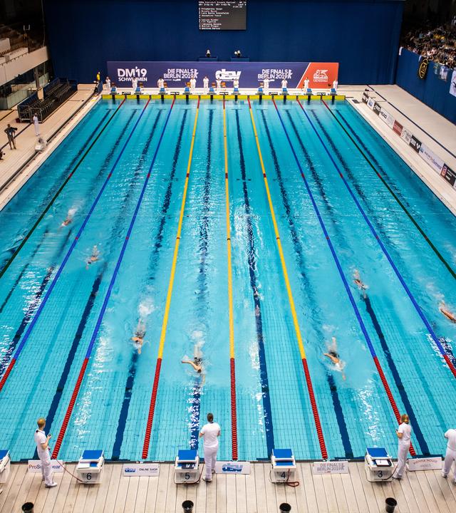 Mehrere Personen schwimmen Bahnen in einer Schwimmhalle