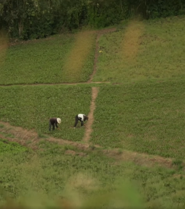 COP16 – Hoffnung für den Artenschutz