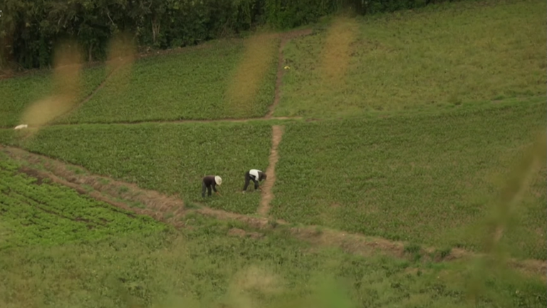 COP16 – Hoffnung für den Artenschutz