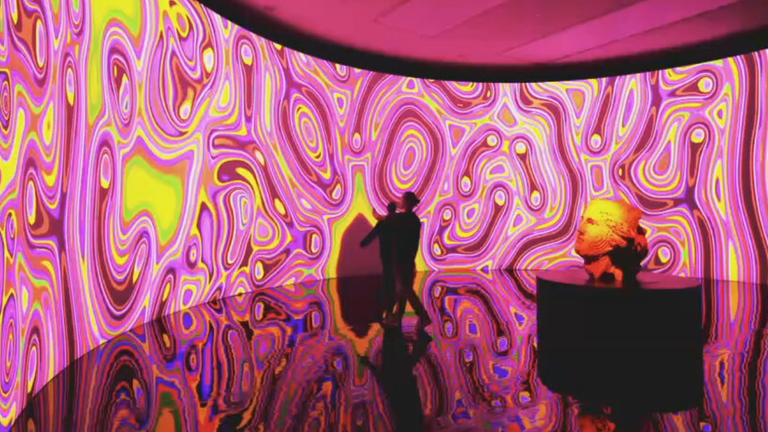 Miguel Chevalier erschafft Kunstwerke, die Natur und Technik vereinen, inspiriert von Kulturgeschichte und angetrieben von moderner KI.