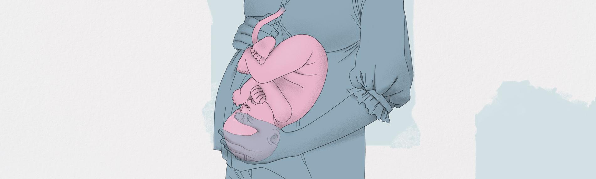 Illustration einer Schwangeren mit Baby im Bauch