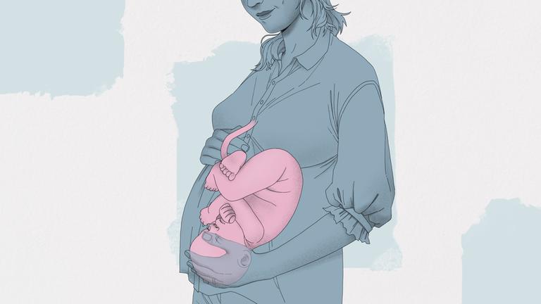 Illustration einer Schwangeren mit Baby im Bauch