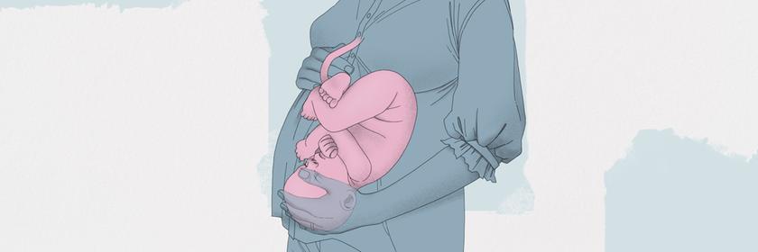 Illustration einer Schwangeren mit Baby im Bauch