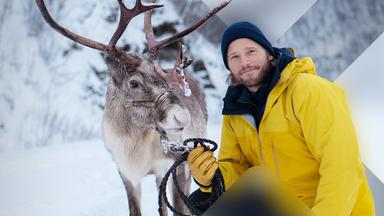 Im Bann der Polarnacht