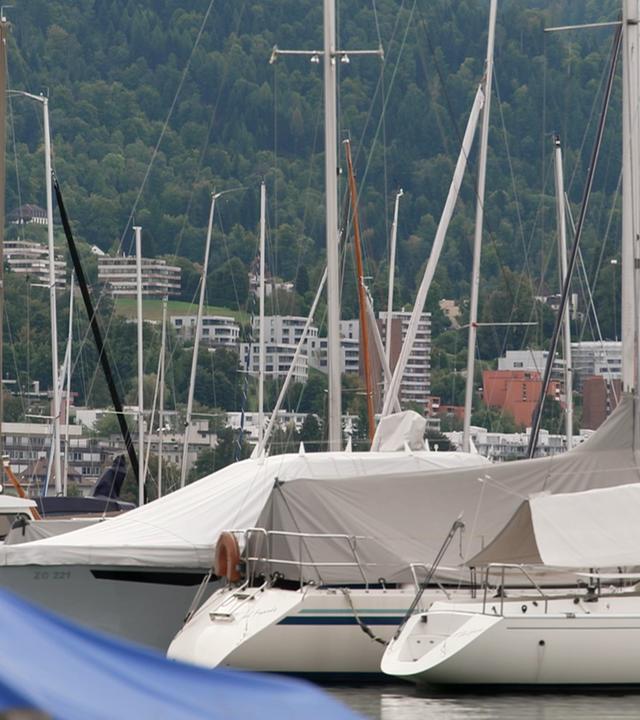 Segelyachten liegen im Hafen