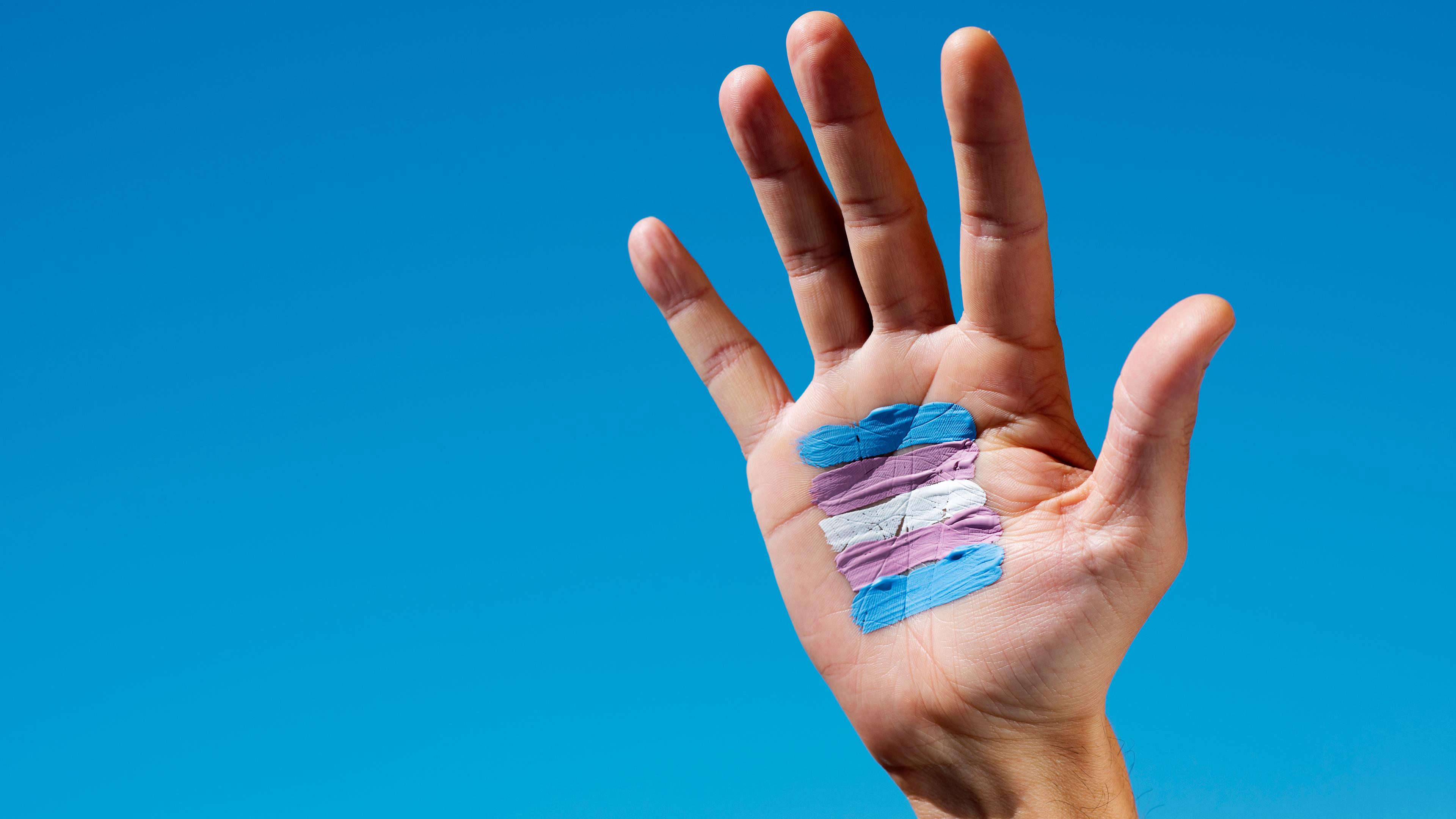 Blauer Hintergrund, eine Hand in der mitte des Bildes. In der Handinnenfläche ist eine trans*-Fahne in blau, rose und weiß gezeichnet.
