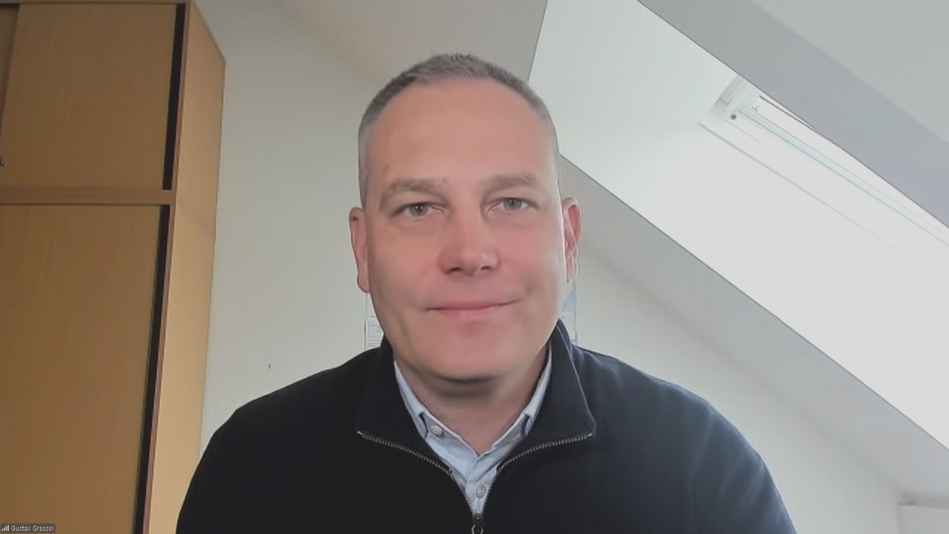 Politikwissenschaftler Gressel per Videocall