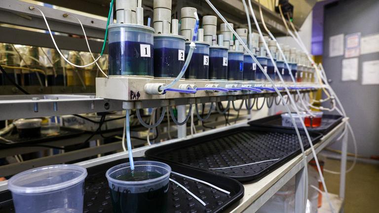 Eine Extraktionskaskade zur Abtrennung von Kobalt und Nickel aus verbrauchten Lithium-Ionen-Batterien.