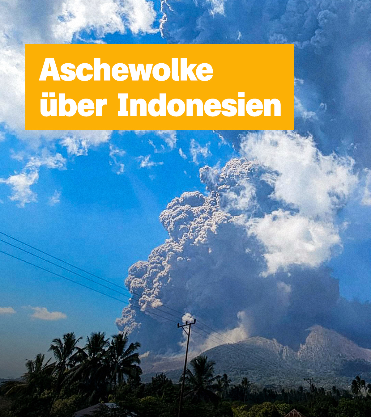 Hinter einer Reihe aus Palmen sieht man eine sehr große Rauchwolke über einem Berg aufsteigen. Links der Text: "Aschewolke über Indonesien"