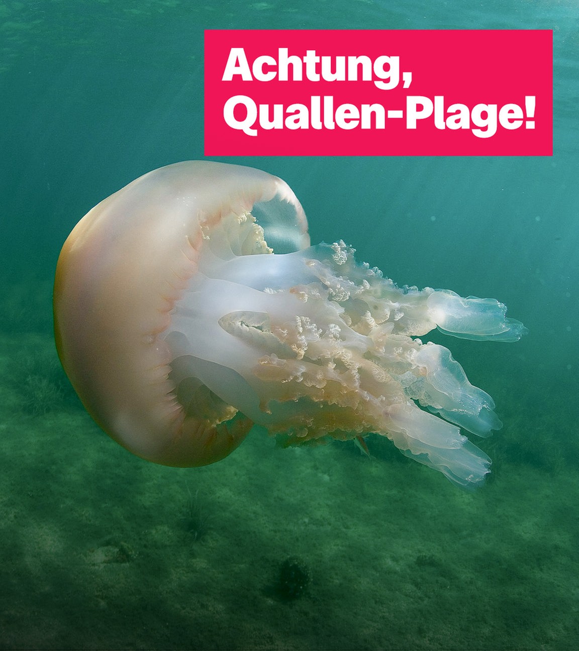 Sendung 30. April
