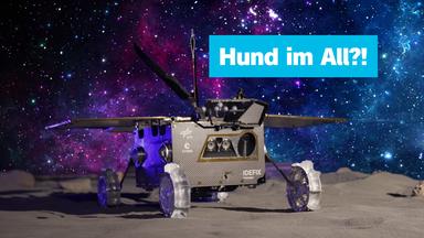 Sendungsteaser vom 20. Oktober 2026