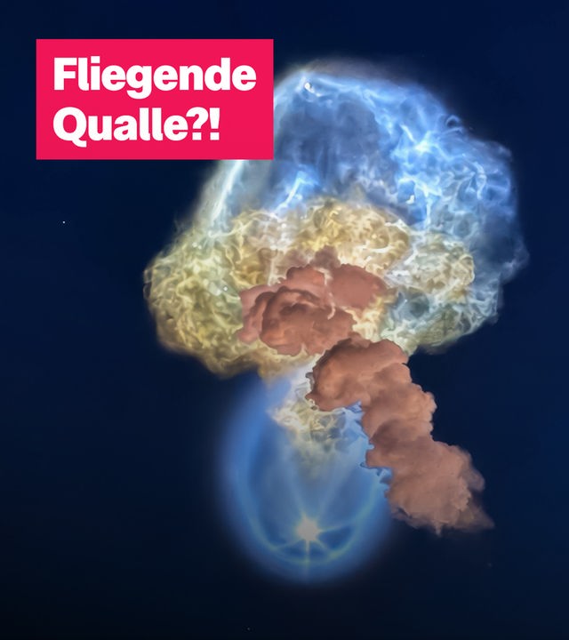 Aufnahme der "Weltraumqualle"