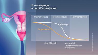 Menopause