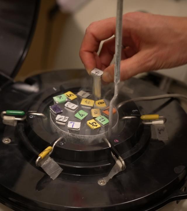 Eingefrorene Eizellen