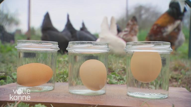 Service-Tipps rund ums Ei