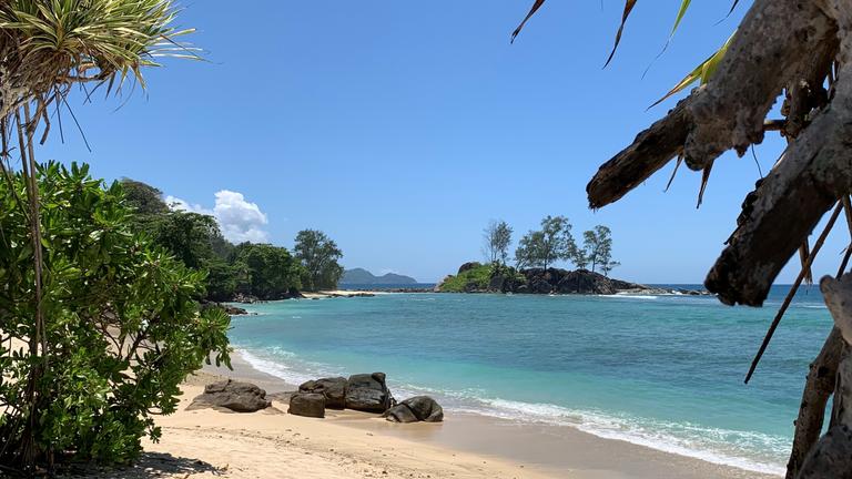 Blick auf den Strand einer Seychelleninsel.