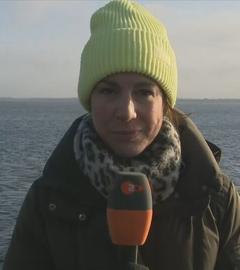 Anne Stadtfeld berichtet über die aktuellen Entwicklungen zur Strandung des Buckelwals in Bad Wiendorf. 