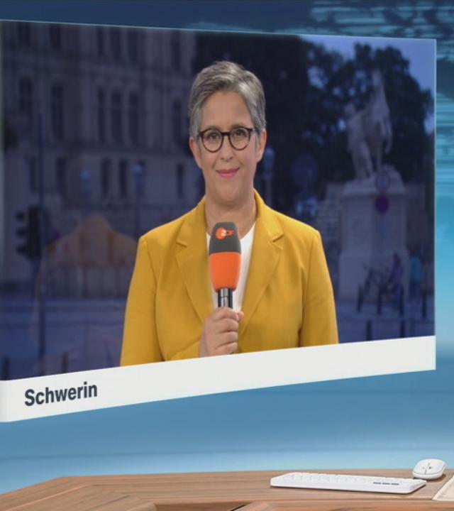 SGS mit Shakuntala Banerjee zum Wahlkampfabschluss in Mecklenburg-Vorpommern