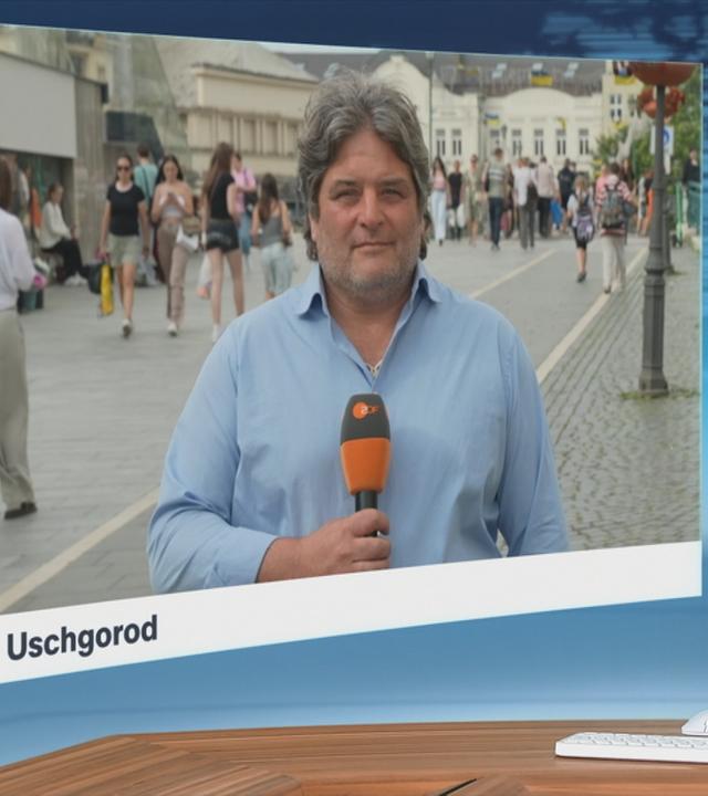 ZDF-Korrespondent Dara Hassanzadeh 
