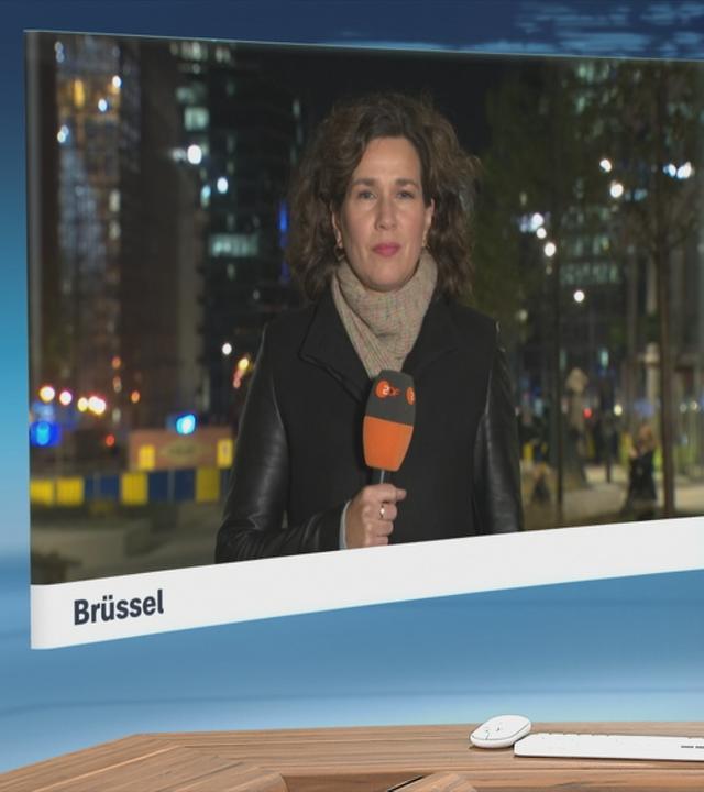 SGS Isabel Schaefers Lieferkettengesetz