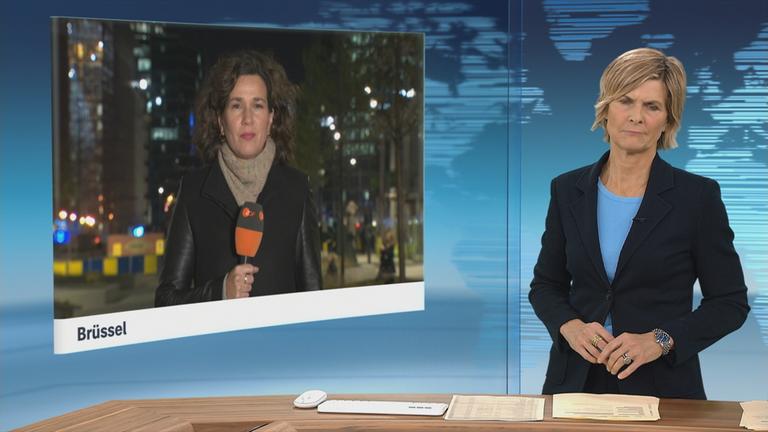 SGS Isabel Schaefers Lieferkettengesetz